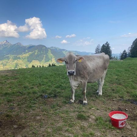 Wies Stein  Екстериор снимка